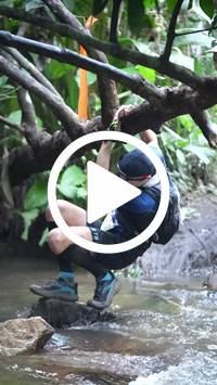 BIB:  <button type="button" onclick="openModal(27808960)" class="btn btn-primary btn-sm float-right" data-toggle="modal" data-target=".modal-high-quality">
                <i class="fa fa-download"></i> Download
                </button>